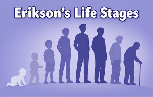 Erikson's Life Stages Erikson's Life Stages